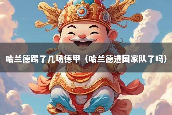 哈兰德踢了几场德甲（哈兰德进国家队了吗）