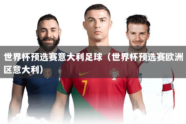 世界杯预选赛意大利足球（世界杯预选赛欧洲区意大利）