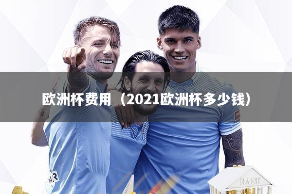 欧洲杯费用（2021欧洲杯多少钱）