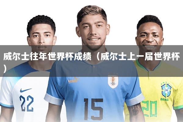 威尔士往年世界杯成绩（威尔士上一届世界杯）