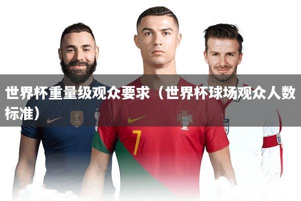 世界杯重量级观众要求（世界杯球场观众人数标准）