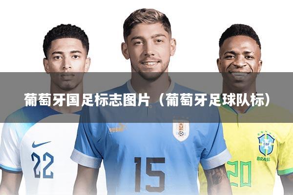 葡萄牙国足标志图片（葡萄牙足球队标）