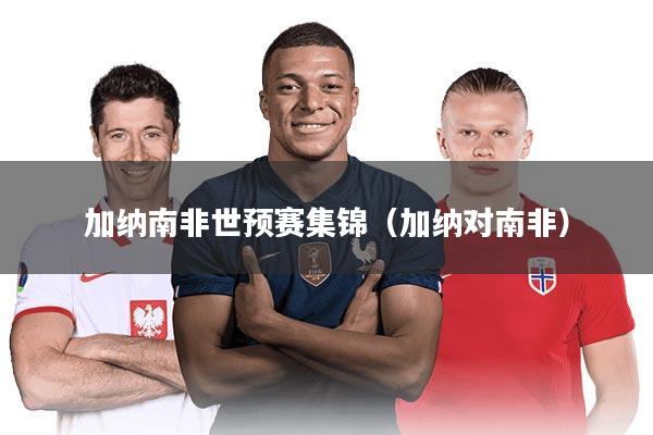 加纳南非世预赛集锦（加纳对南非）