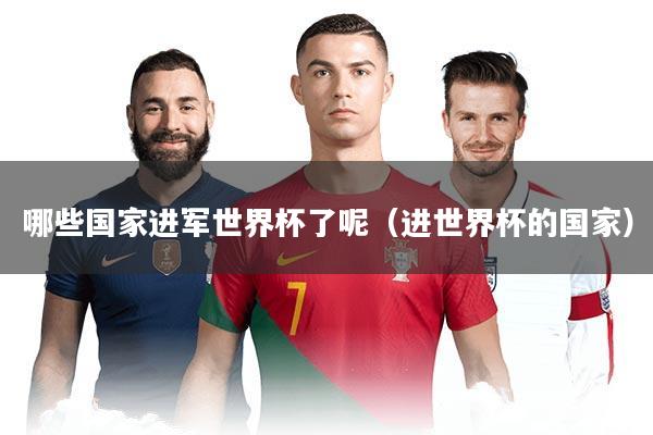 哪些国家进军世界杯了呢（进世界杯的国家）