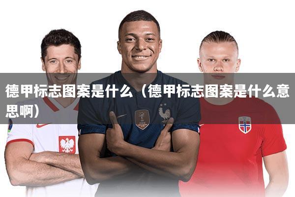 德甲标志图案是什么（德甲标志图案是什么意思啊）