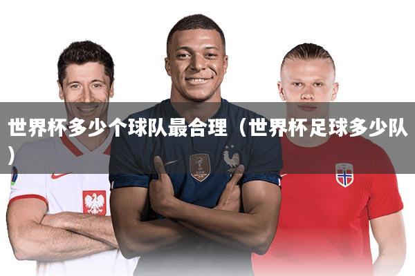 世界杯多少个球队最合理（世界杯足球多少队）