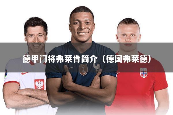 德甲门将弗莱肯简介(德国弗莱德)