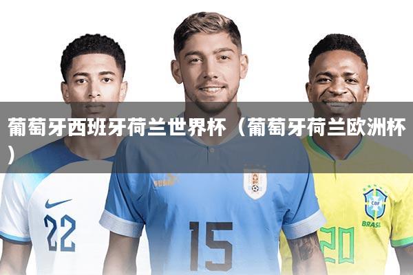 葡萄牙西班牙荷兰世界杯（葡萄牙荷兰欧洲杯）