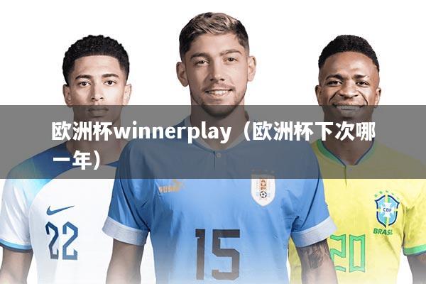 欧洲杯winnerplay（欧洲杯下次哪一年）